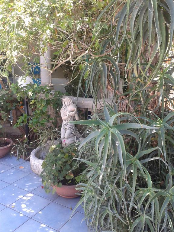 B&B Albatros Λίπαρι Εξωτερικό φωτογραφία