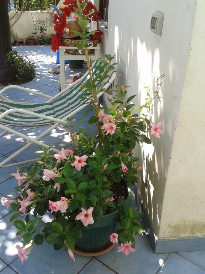 B&B Albatros Λίπαρι Εξωτερικό φωτογραφία